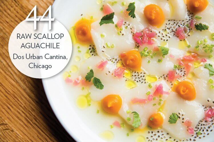 Raw Scallop AguaChile with sweet potato purée, pickled red onion, spicy lime aguachile, cilantro, chia seed