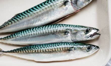 <span class="entry-title-primary">The Fillet of the Matter</span> <span class="entry-subtitle">Barton's mission is to get more Americans eating more seafood more often across all demographics</span>
