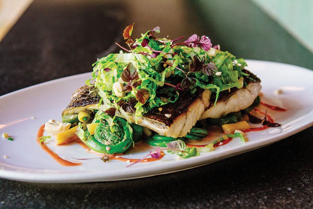 Miso Glazed Barramundi - Flavor & The Menu