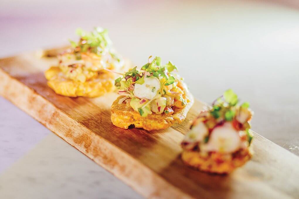 Fried green plantain, octopus ceviche, avocado salsa