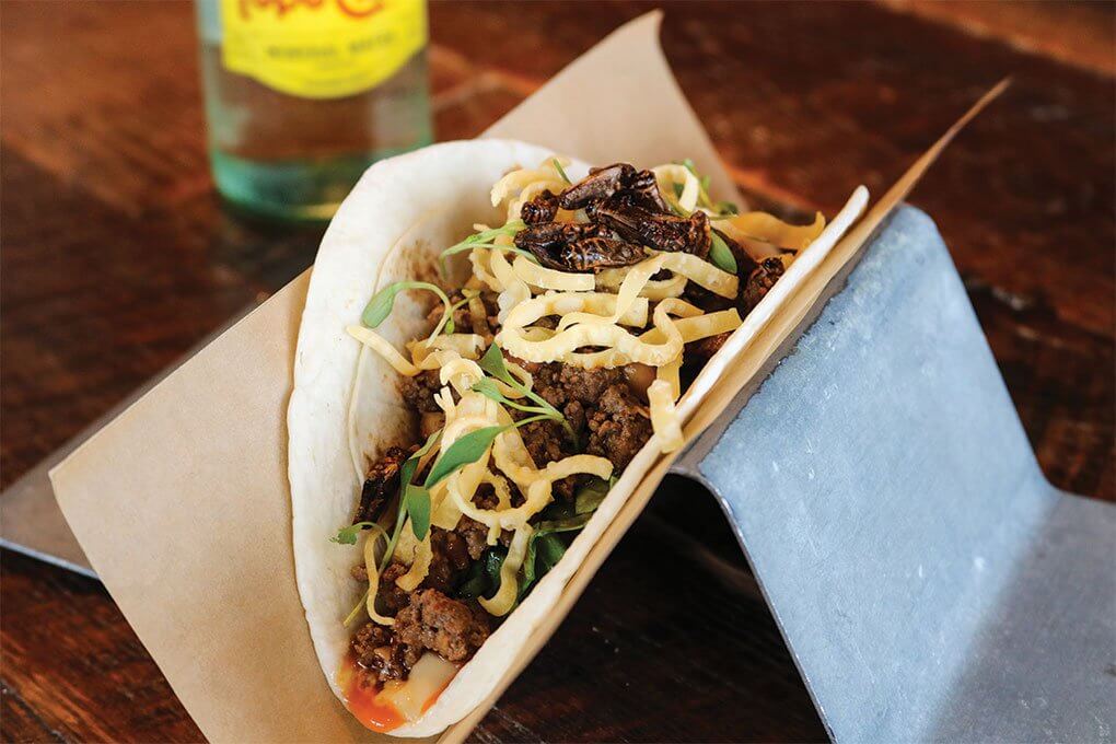 Szechuan Dan Dan Taco with ground beef, Sichuan pepper aïoli, bok choy salad, crispy wonton strips and Sriracha crickets