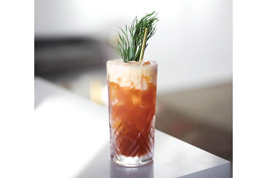Through the Woods with Koval Cranberry Gin, Matchless Coffee Soda, ginger, evergreen