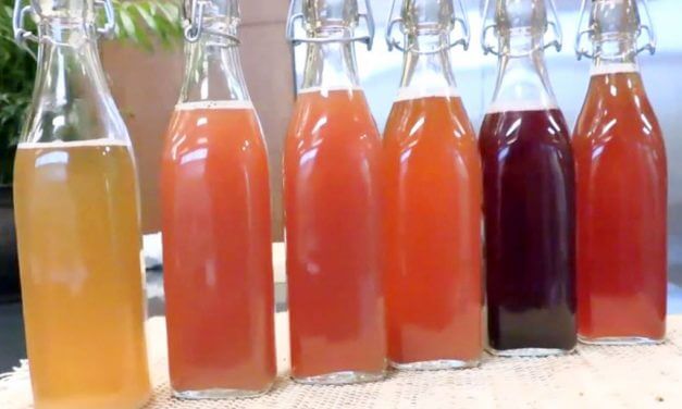 <span class="entry-title-primary">Housemade Kombucha</span> <span class="entry-subtitle">How to craft small-batch housemade kombucha using The Perfect Purée’s premium fruit purées.</span>