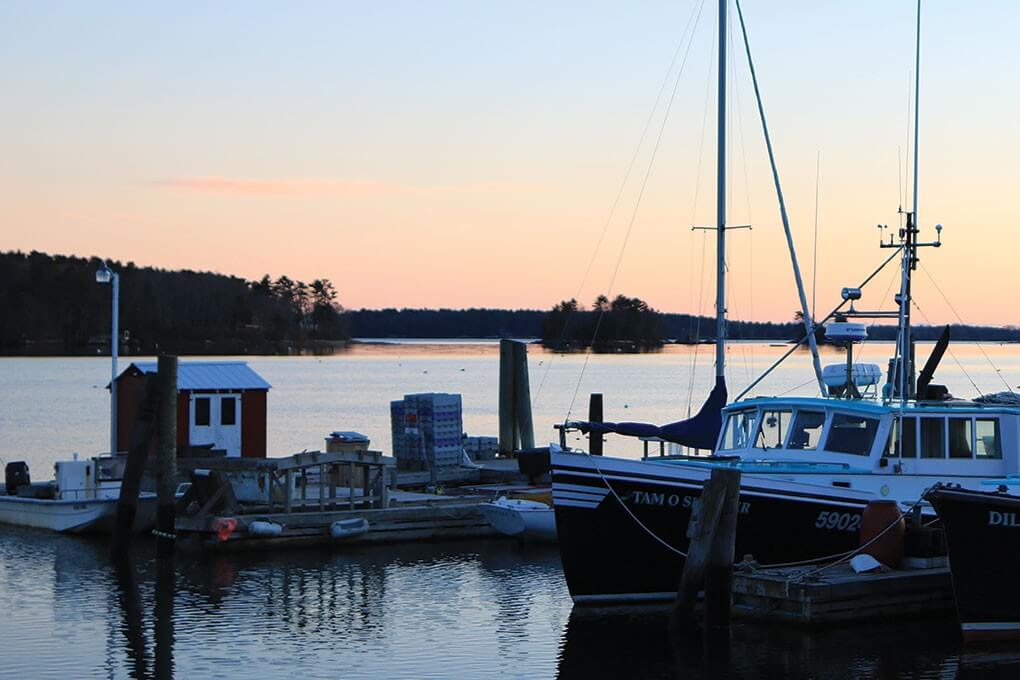 Harbor Scene