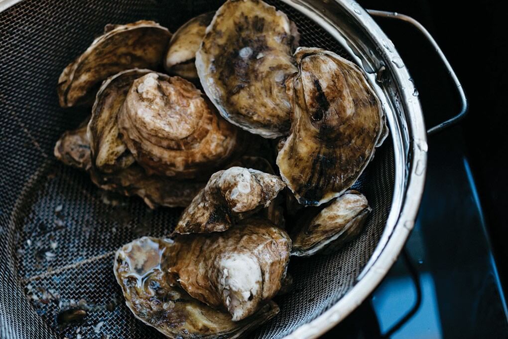 Oysters in a bowl