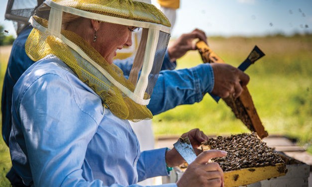 <span class="entry-title-primary">Celebrating Beekeeping</span> <span class="entry-subtitle">National Honey Month is the perfect time to salute this special craft</span>