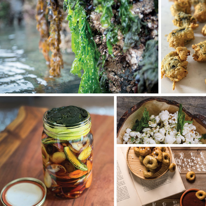 Kirsten and Mandy Dixon, the mother-daughter culinary team running Within the Wild Alaska Adventure Lodges, demonstrate fresh seaweed’s incredible versatility through a variety of applications ranging from fritters to popcorn to pickles. Dehydrated sea lettuce is also mixed into a batter for Savory Spiced Lentil Doughnuts, served with rhubarb chutney.