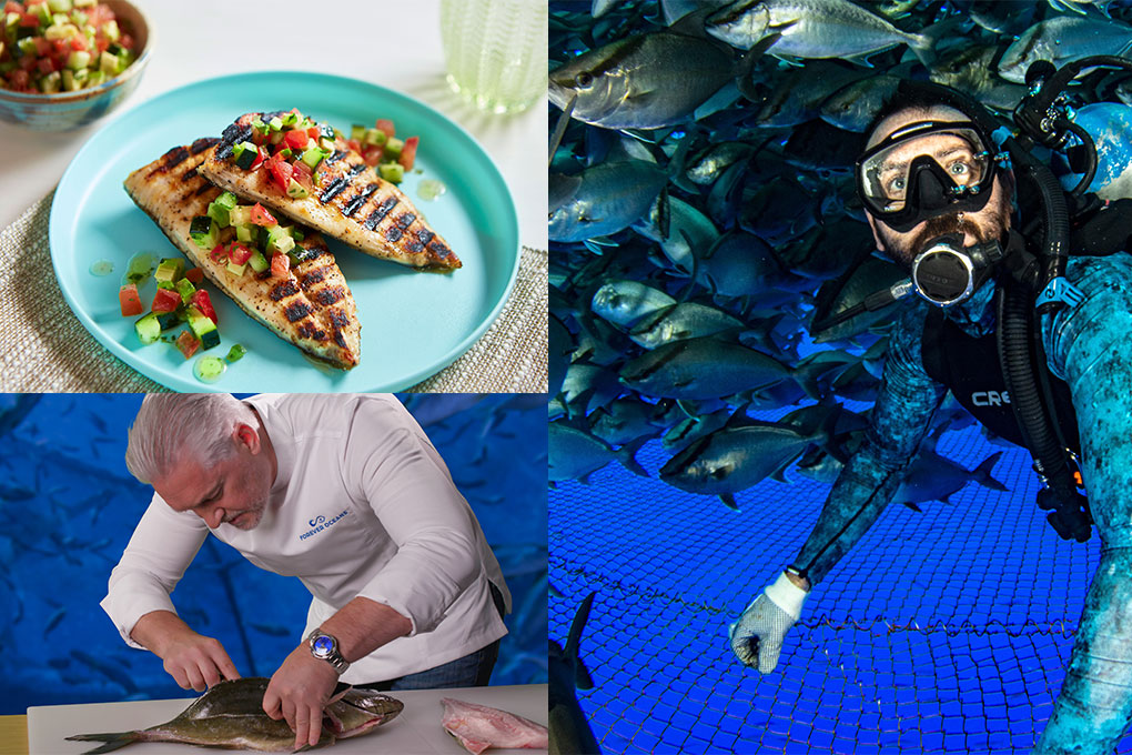(Clockwise from top left): Forever Oceans Executive Chef Mark Allison demonstrates the many ways to prepare Kahala for a menu; Forever Oceans diver examines an off-shore enclosure along the coast of Hawaii; Kahala is a sashimi-grade fish that is also great for poke and as a center-of-the-plate fillet.