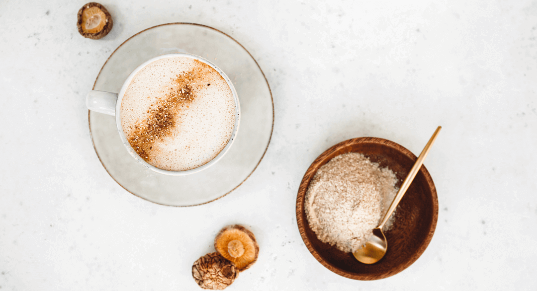 Umami King Thoughtful preps and pairings lead to inspired mushroom dishes