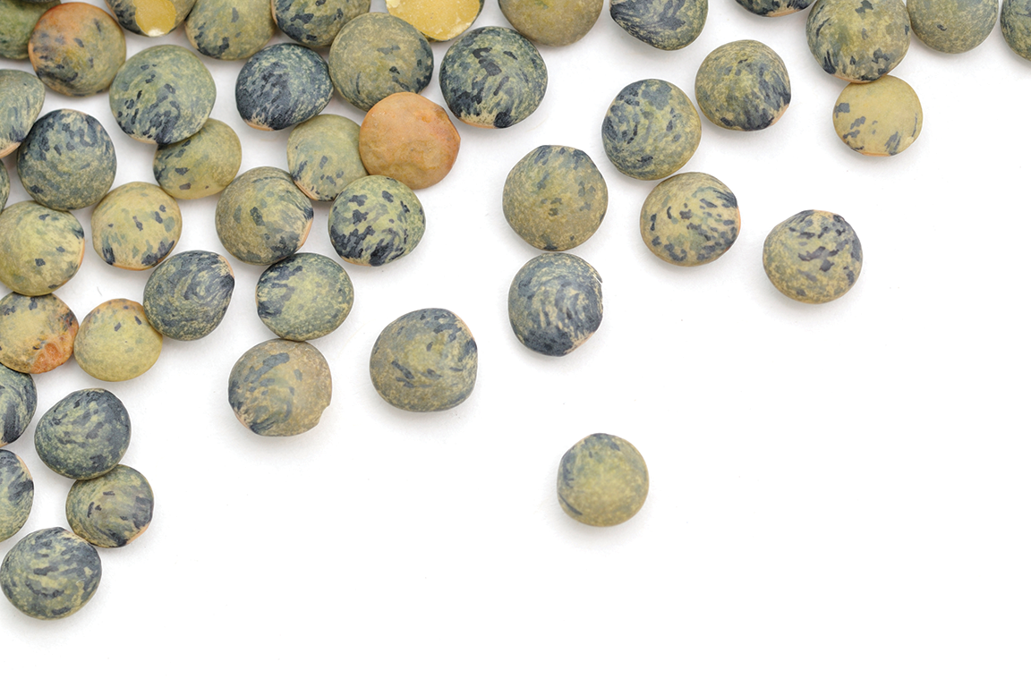 Lentils