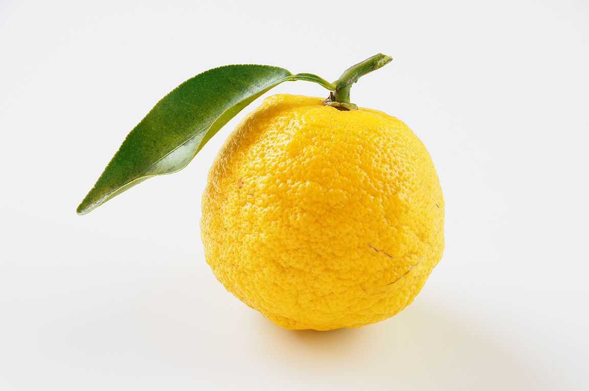 Yuzu Kosho