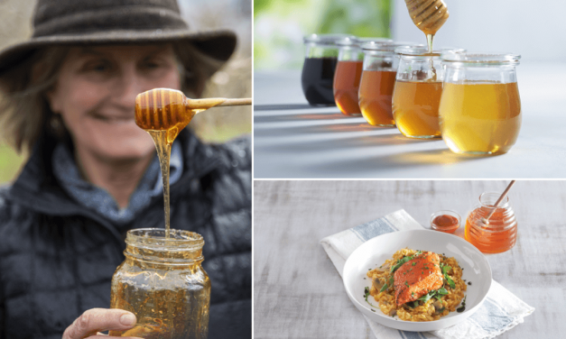 Honey: A Connection of Crafts