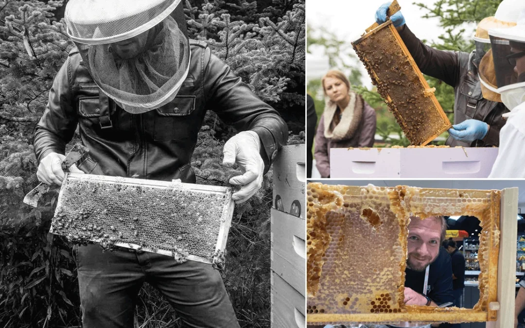 Honey Craft Bringing together the individual artistry and expertise of chefs and beekeepers
