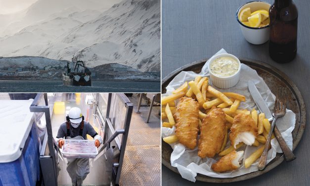 <span class="entry-title-primary">Go Fish, Go Wild</span> <span class="entry-subtitle">Beer-battered Wild Alaska Pollock fillets deliver premium flavor value and a sustainability success story</span>