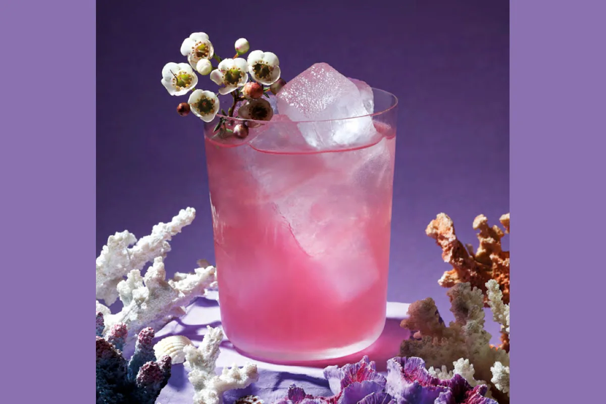 Hojicha Sidles Up to the Bar
