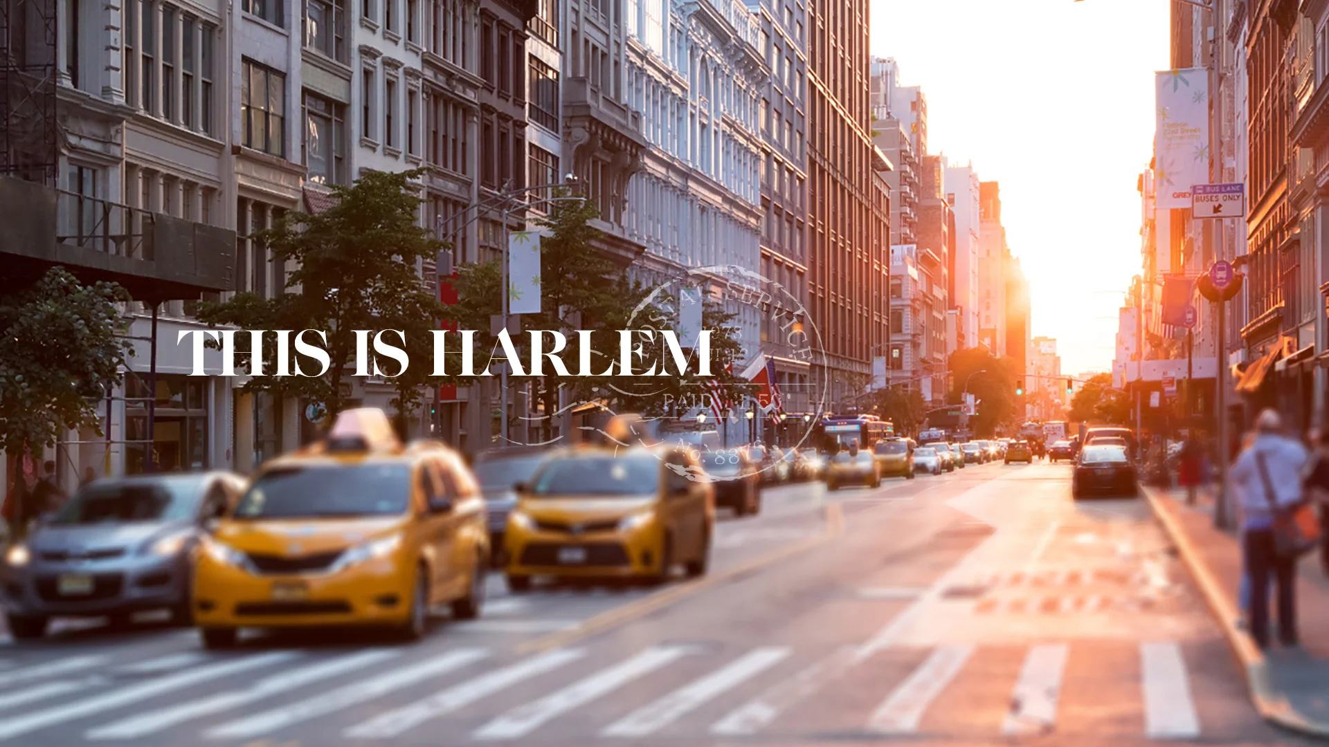 Flavor Postcar: Harlem hero