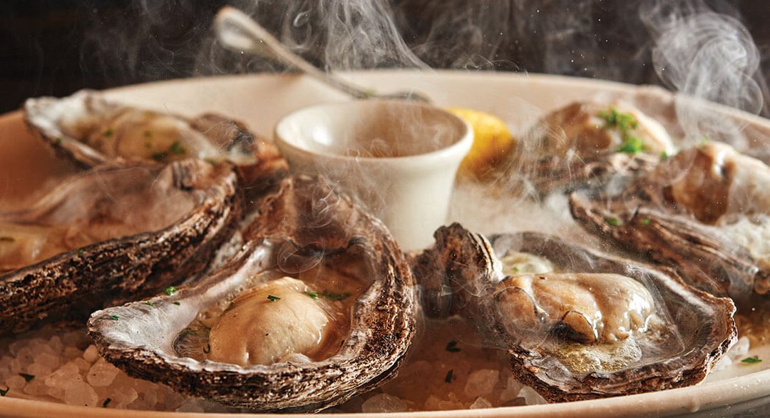 Oyster Icons
