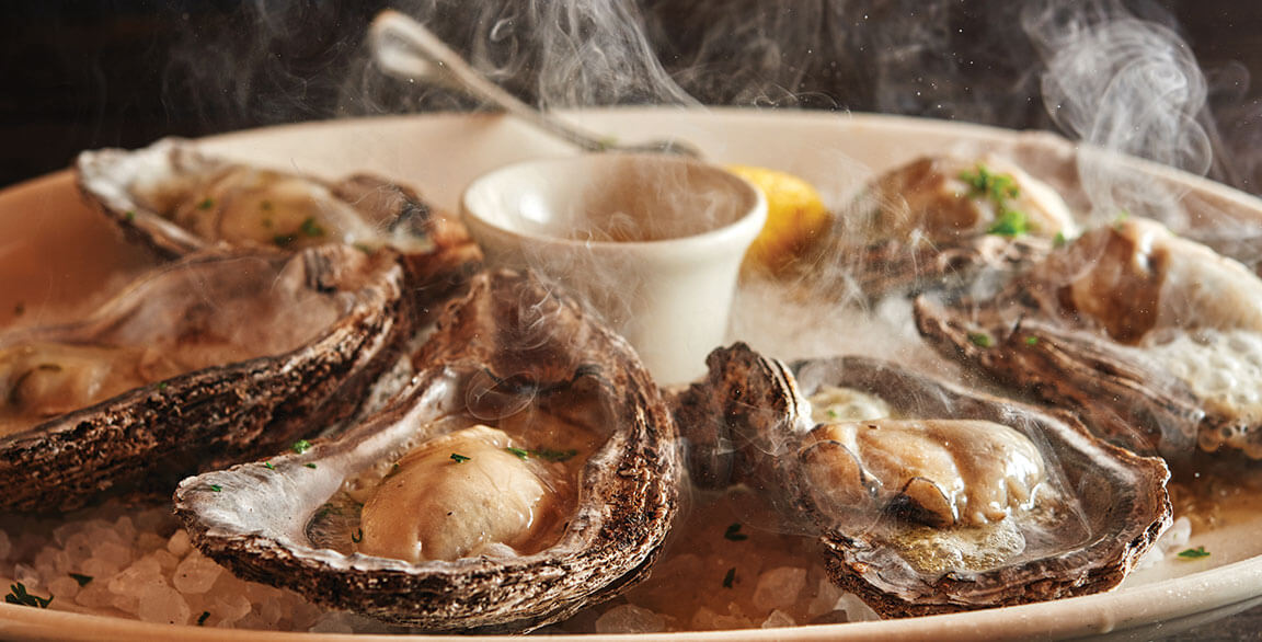 Oyster Icons