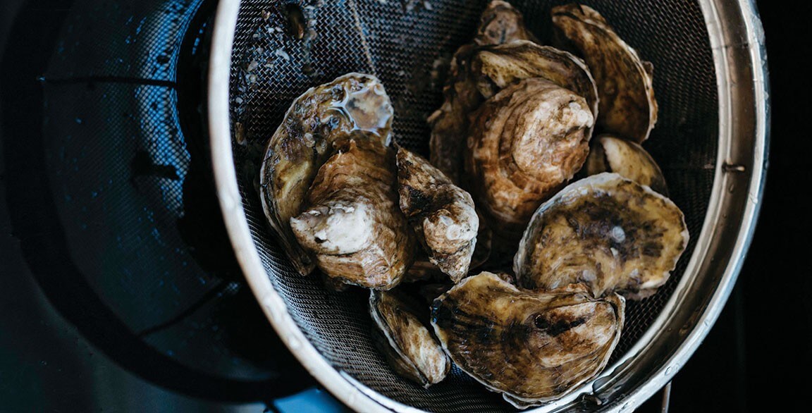 A Love Letter to Oysters
